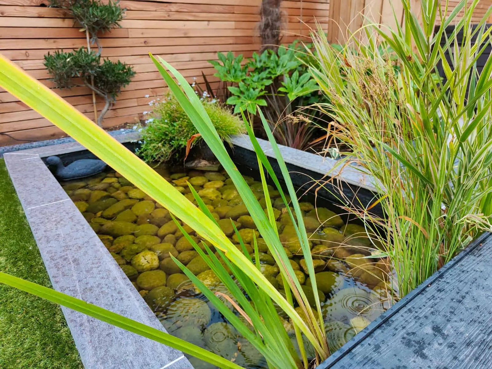 Modern garden design and build, Hailsham, photo 12 of 21