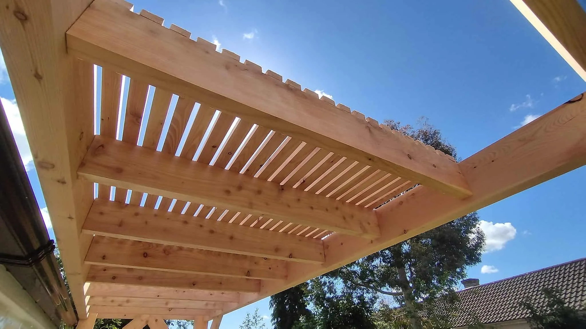 Timber pergola seen from below